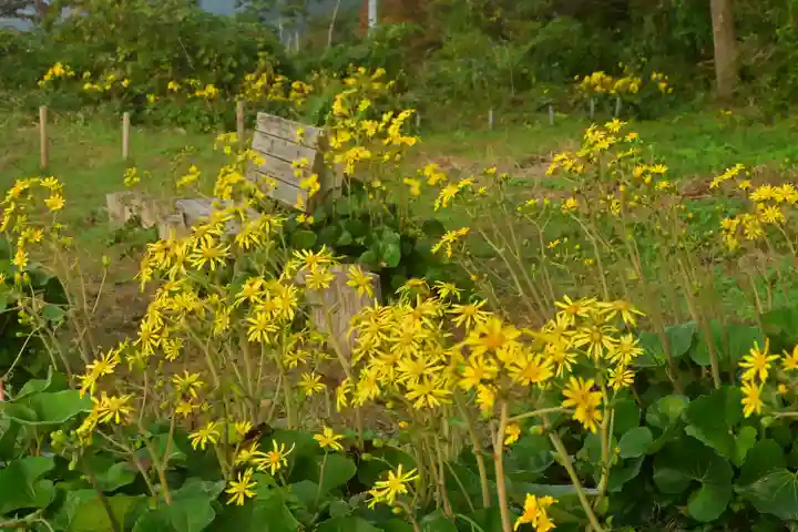 白山媛神社(新潟県)