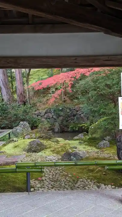 榮攝院(栄摂院)(京都府)