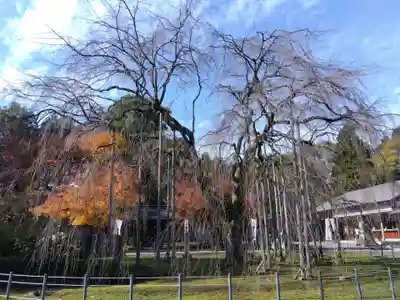 足羽神社(福井県)