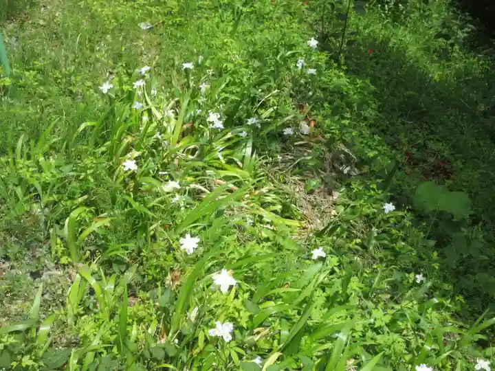 秩父大神社(埼玉県)