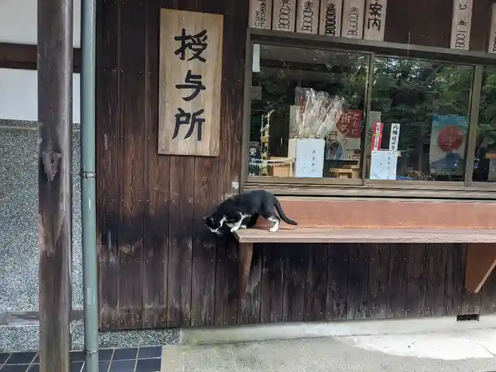 八幡社(柏井町)の動物