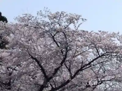 千手院(島根県)