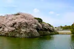 滋賀県護国神社(滋賀県)