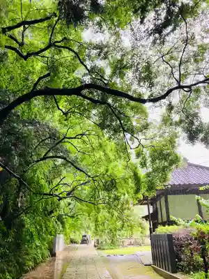 観福寺(千葉県)