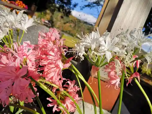高司神社〜むすびの神の鎮まる社〜(福島県)