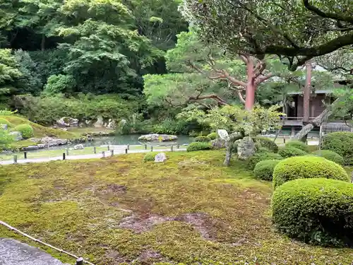 青蓮院門跡の庭園