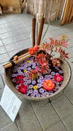 美瑛神社の手水舎