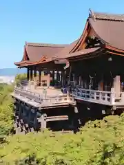 清水寺(京都府)