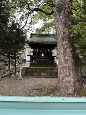 福神社の{uncategorized: "未分類", other: "その他", undefined: "問題あり", building: "その他建物", grave: "お墓", sacred_gate: "鳥居", guardian: "狛犬", statue: "像", buddha: "仏像", history: "歴史", nature: "自然", garden: "庭園", animal: "動物", pagoda: "塔", temizu: "手水舎", mountain_gate: "山門・神門", sanctuary: "本殿・本堂", subordinate: "末社・摂社", art: "芸術", scenery: "景色", jizo: "地蔵", ema: "絵馬", goshuin: "御朱印", omikuji: "おみくじ", items: "授与品その他", amulet: "お守り", goshuincho: "御朱印帳", eats: "食事", festival: "お祭り", votive_dance: "神楽", shichigosan: "七五三参", wedding: "結婚式", experience: "体験その他", initially: "初詣", around: "周辺", anti_infection: "感染症対策"}