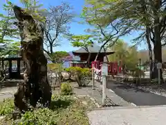 中禅寺(栃木県)