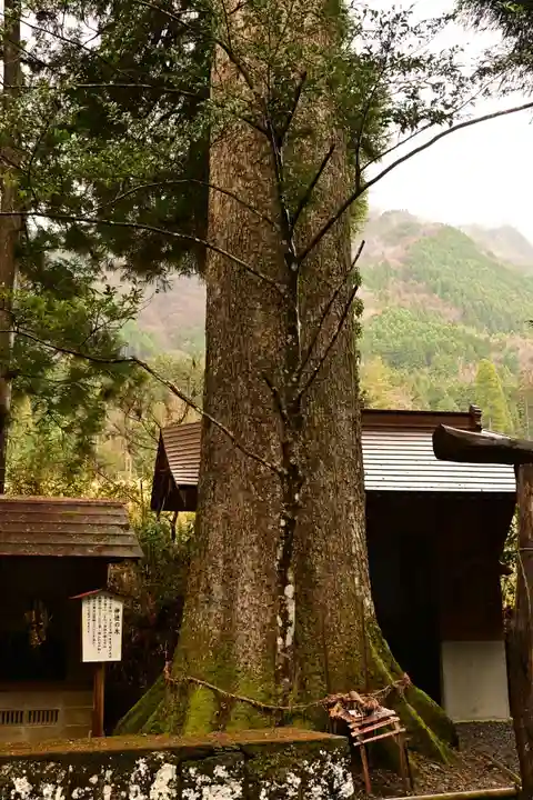 祇園神社(宮崎県)