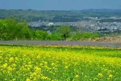 沢山神社（澤山神社)(新潟県)