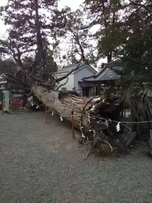 賀茂神社(滋賀県)