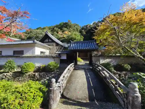 金剛寺(大阪府)