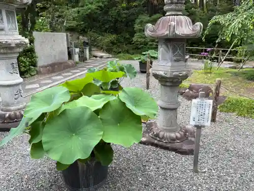 頼光寺(兵庫県)