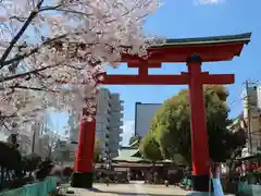 尼崎えびす神社の鳥居