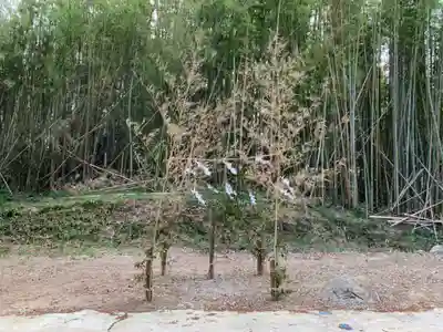 細野天満宮の本殿・本堂