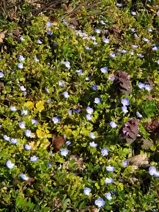 高司神社〜むすびの神の鎮まる社〜(福島県)