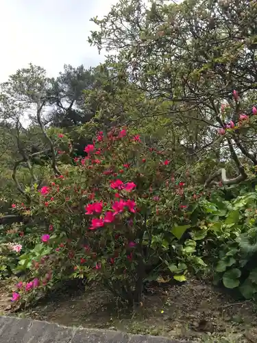 安養院　(田代寺）の自然