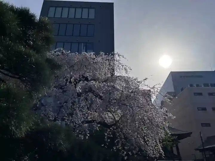 日蓮宗 浄運寺(東京都)