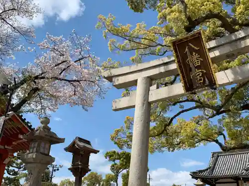 百舌鳥八幡宮の鳥居