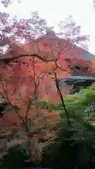 清水寺の自然