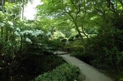 詩仙堂（丈山寺）の自然