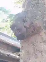 氷川女體神社(埼玉県)