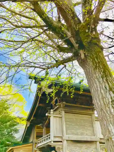 千勝神社の本殿