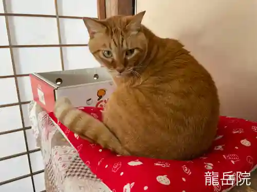 龍岳院(愛知県)