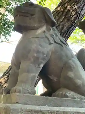上目黒氷川神社の狛犬