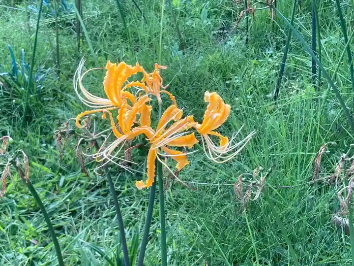 横浜 西方寺(神奈川県)