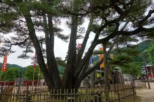 大願寺の庭園