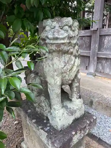 小宅神社の狛犬