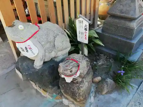 尼崎えびす神社の狛犬