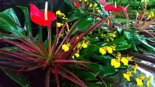 滋賀県護国神社の自然