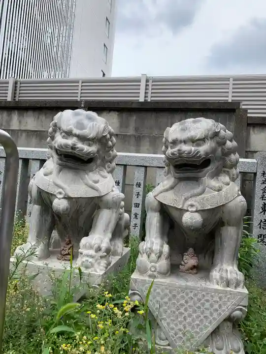 荻窪白山神社の狛犬