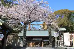 伊勢山皇大神宮の鳥居