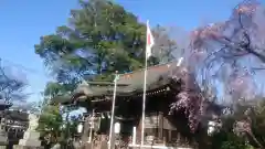 熊野神社の本殿