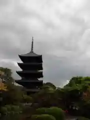 東寺（教王護国寺）(京都府)