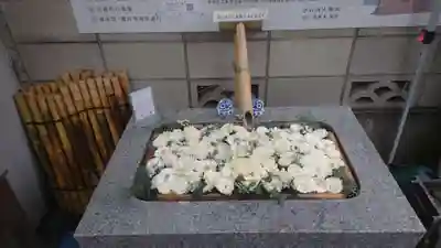 【閉業】小石川大神宮(東京都)