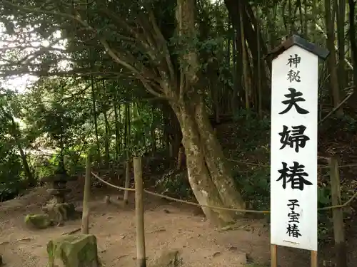 八重垣神社(島根県)