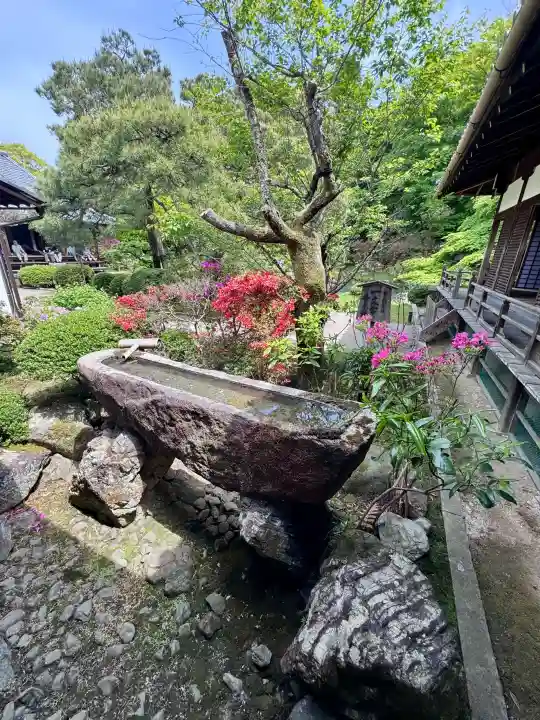 青蓮院門跡の{uncategorized: "未分類", other: "その他", undefined: "問題あり", building: "その他建物", grave: "お墓", sacred_gate: "鳥居", guardian: "狛犬", statue: "像", buddha: "仏像", history: "歴史", nature: "自然", garden: "庭園", animal: "動物", pagoda: "塔", temizu: "手水舎", mountain_gate: "山門・神門", sanctuary: "本殿・本堂", subordinate: "末社・摂社", art: "芸術", scenery: "景色", jizo: "地蔵", ema: "絵馬", goshuin: "御朱印", omikuji: "おみくじ", items: "授与品その他", amulet: "お守り", goshuincho: "御朱印帳", eats: "食事", festival: "お祭り", votive_dance: "神楽", shichigosan: "七五三参", wedding: "結婚式", experience: "体験その他", initially: "初詣", around: "周辺", anti_infection: "感染症対策"}