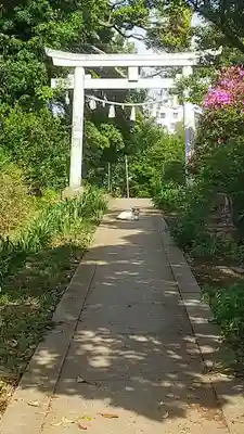 井野天満神社(茨城県)