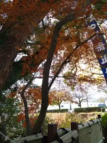加藤神社の自然