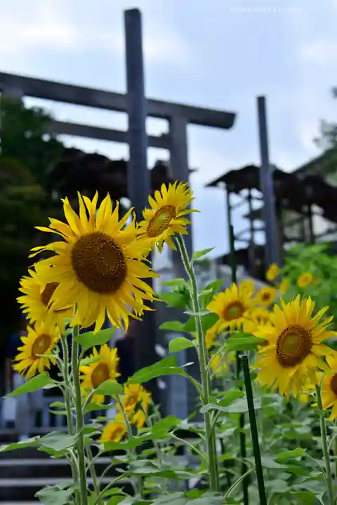 伊勢山皇大神宮(神奈川県)