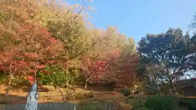 受法寺(静岡県)