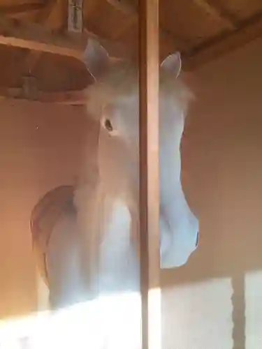 浄昇寺のその他建物