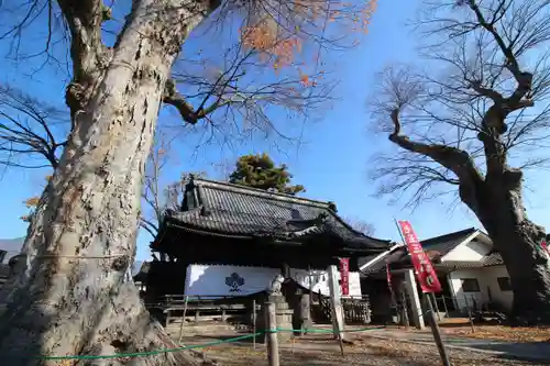 科野大宮社(長野県)