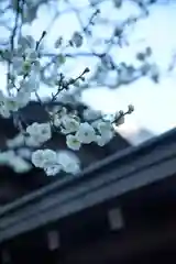 湯島天満宮(東京都)